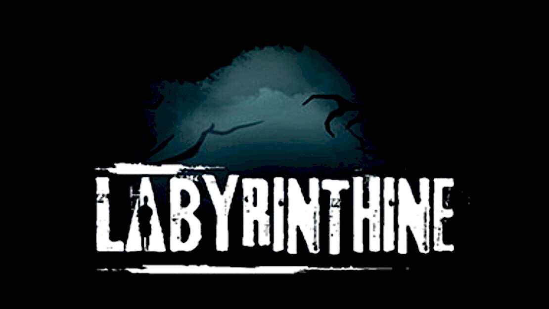 Labyrinthine header image